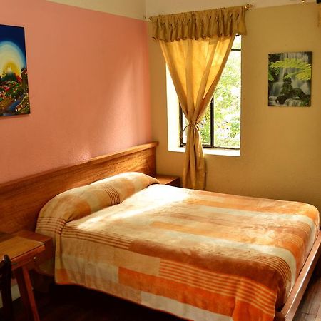 קיטו Hostal Loro Verde מראה חיצוני תמונה